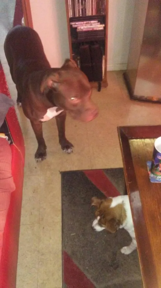 Slide of T&m Ptac Cleaning and Pressure Washing