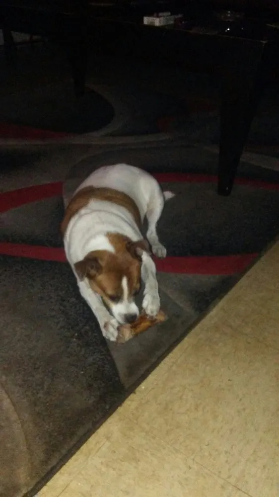 Slide of T&m Ptac Cleaning and Pressure Washing