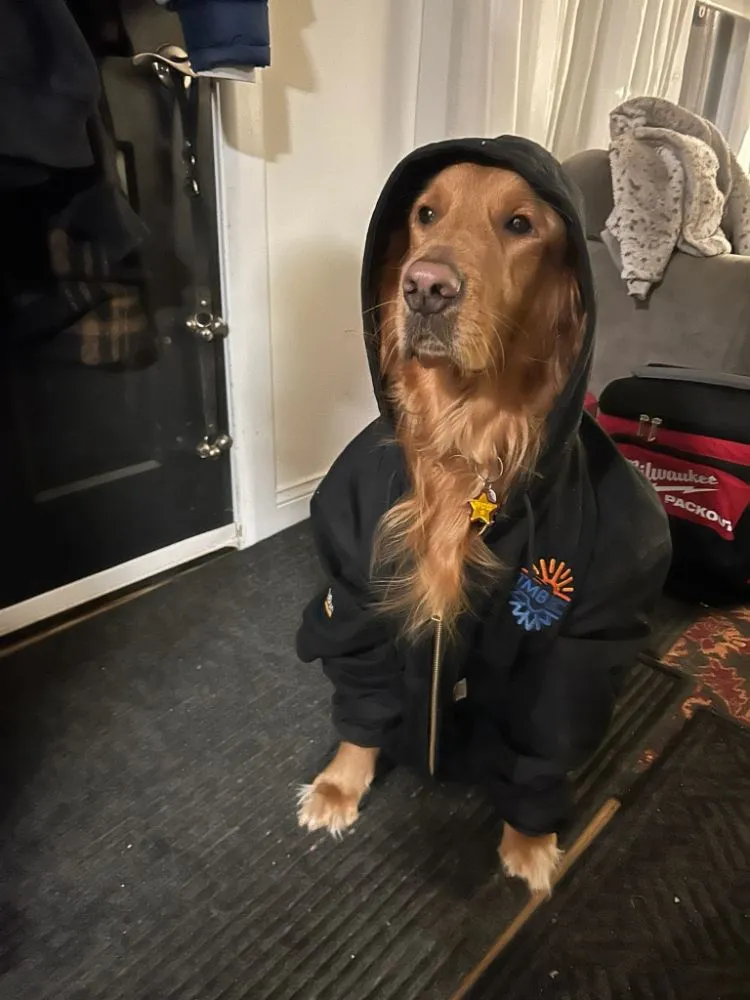 Slide of TMB Heating and Cooling