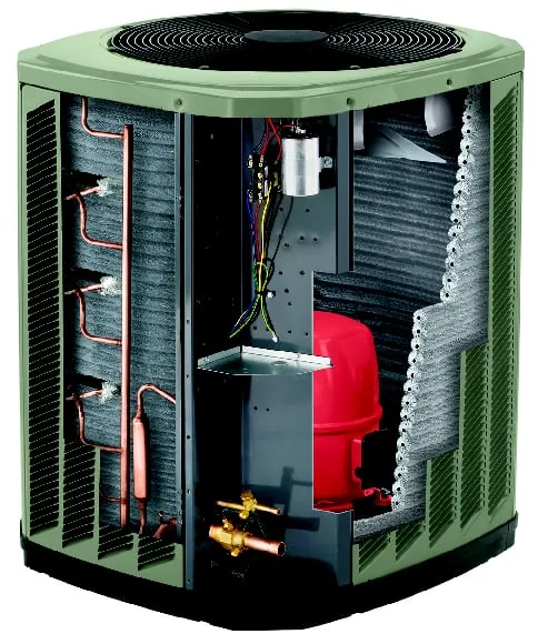 Slide of Tomasso Bros