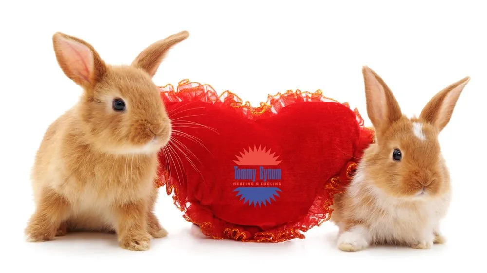 Slide of Tommy Bynum Heating & Cooling