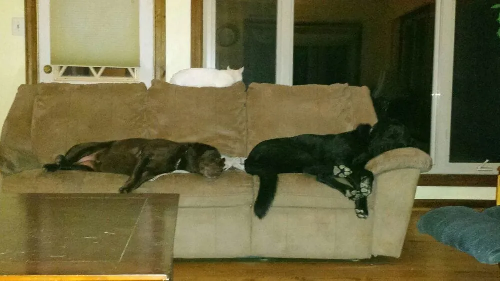 Slide of Tony's Heating & Air Handyman Services