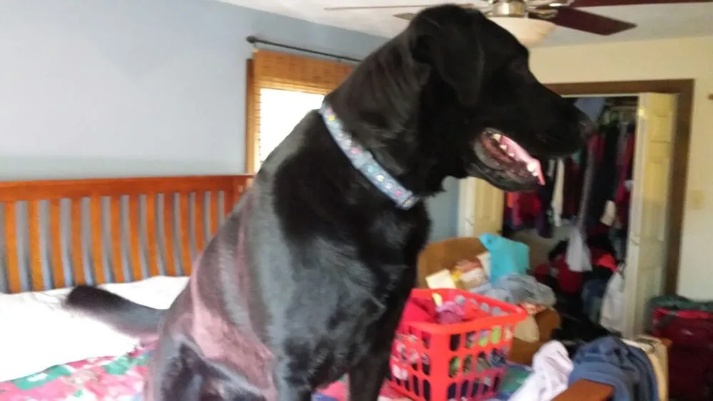 Slide of Tony's Heating & Air Handyman Services