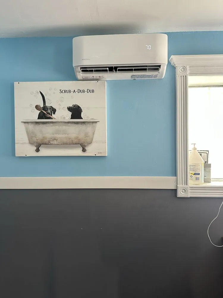 Slide of Toon Express