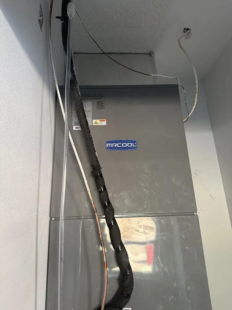 Slide of Toon Express