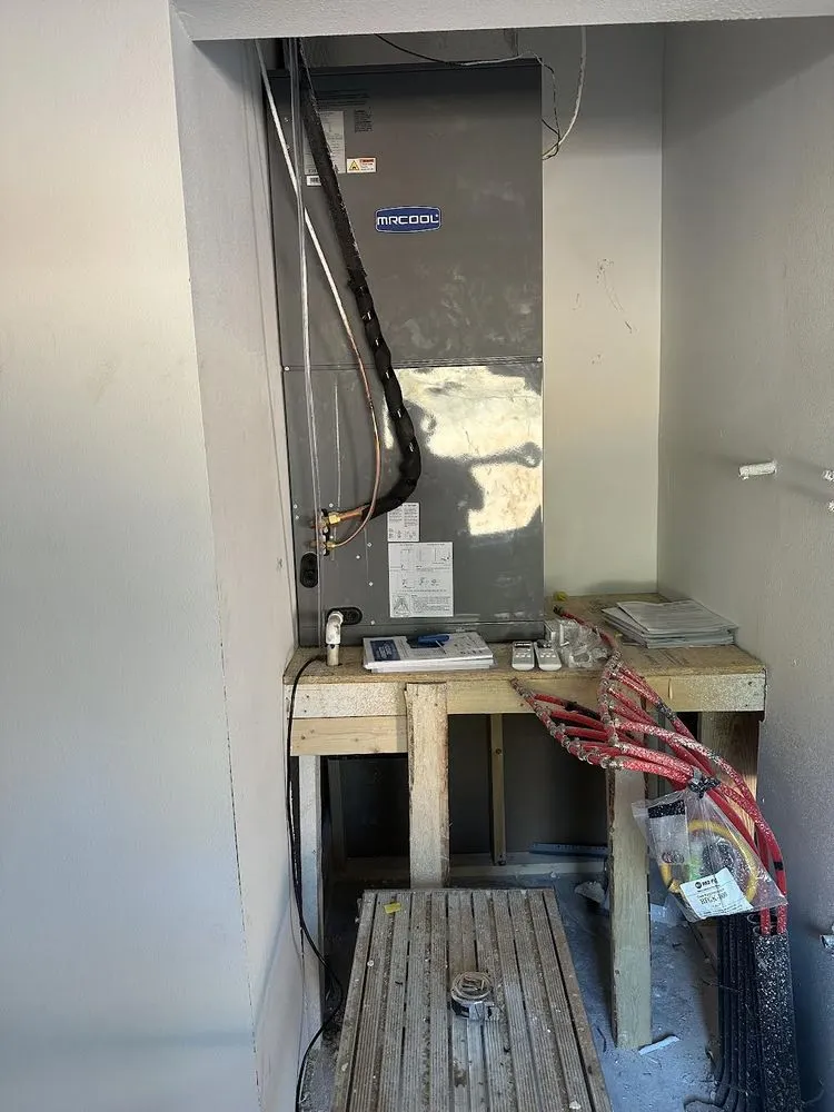 Slide of Toon Express