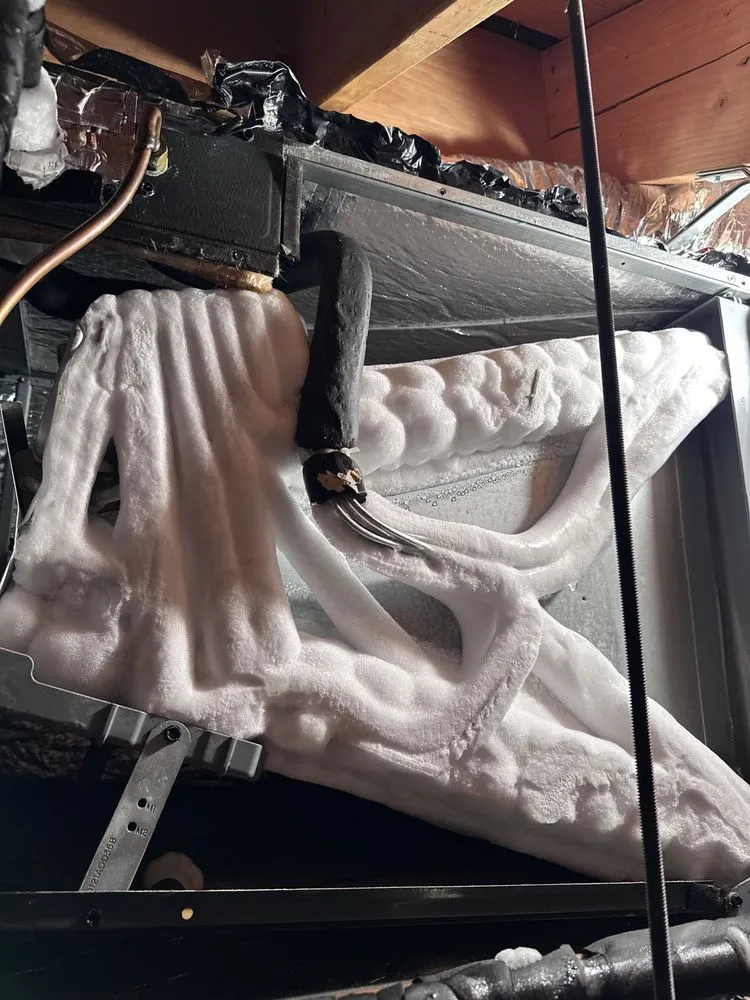 Slide of Top Climate