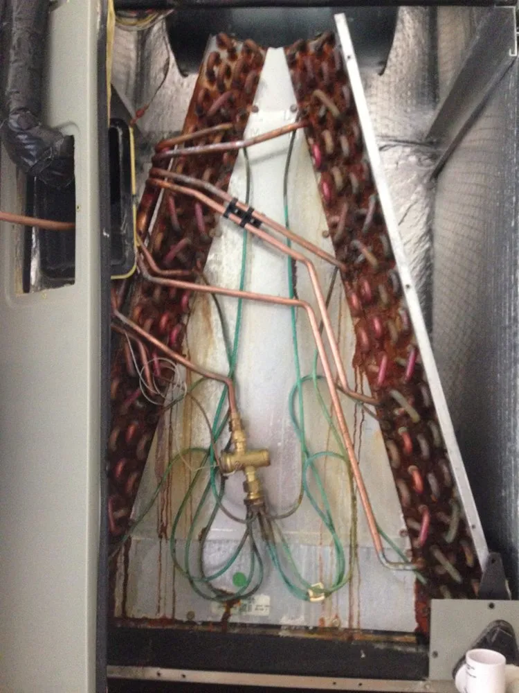 Slide of Top Dog Home Services