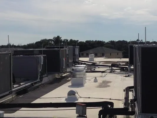 Top Dog Home Services Logo