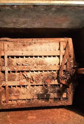 Torreys Peak Mechanical Logo