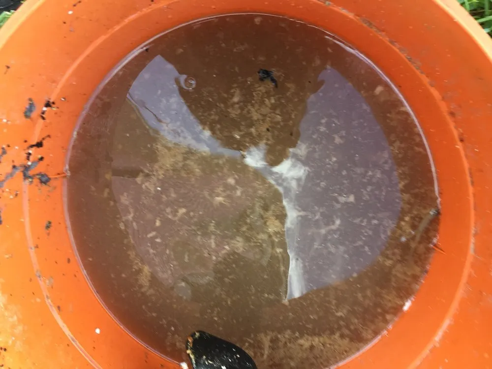 Slide of Total Air Care