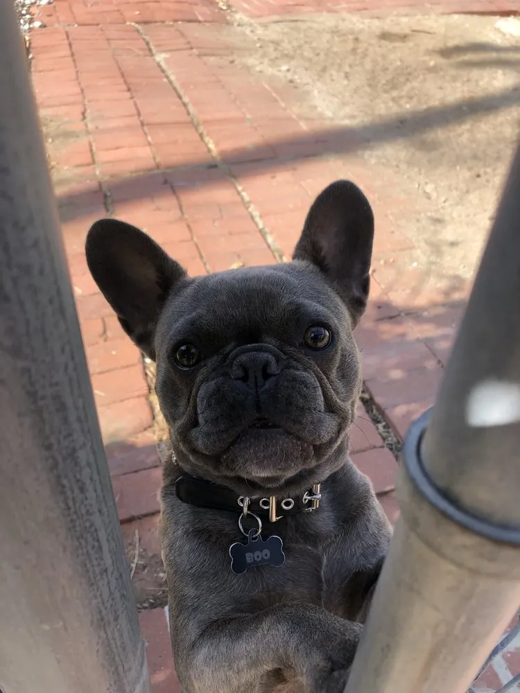 Slide of Total Air Heating & Air Conditioning