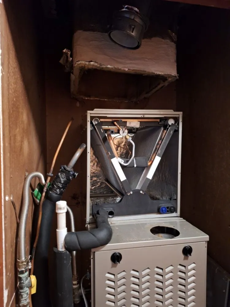 Slide of Total Comfort