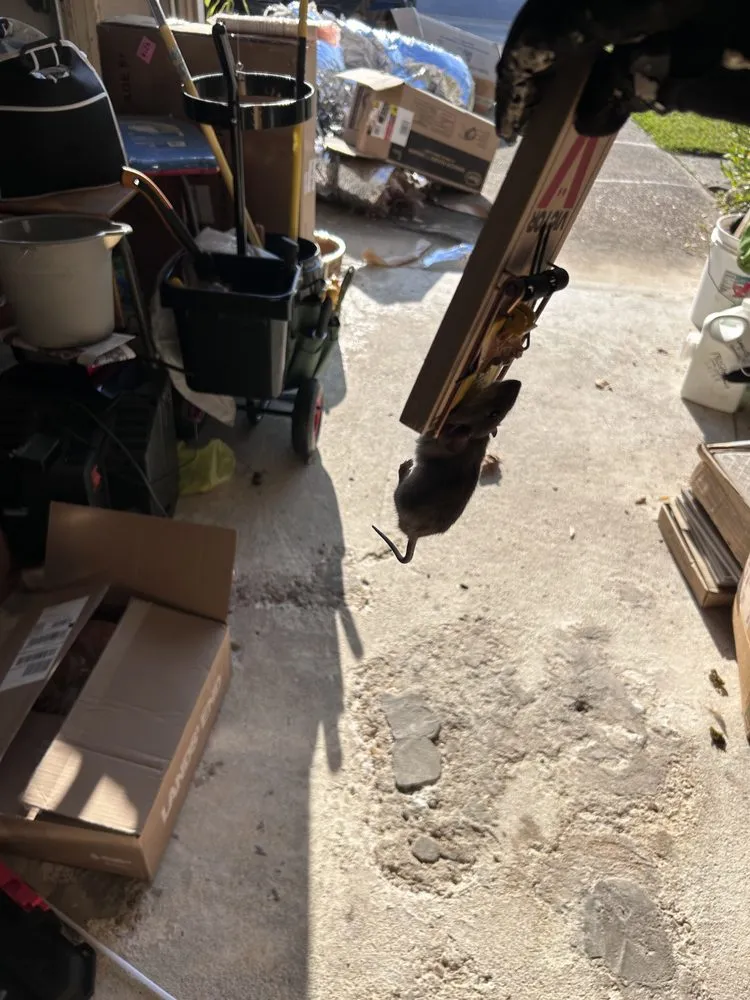 Slide of Total Solution