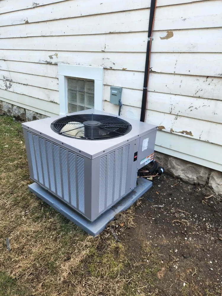 Slide of TPS Services