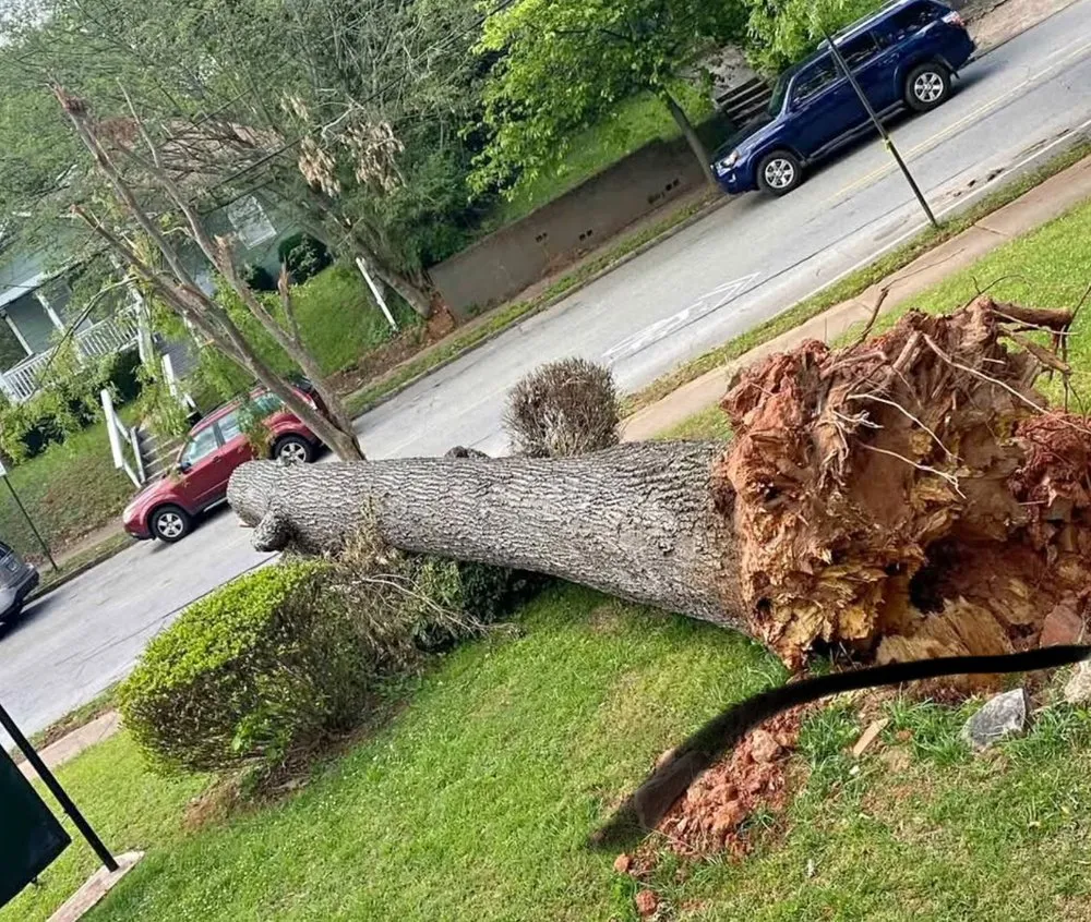 Slide of Trade Flow Network