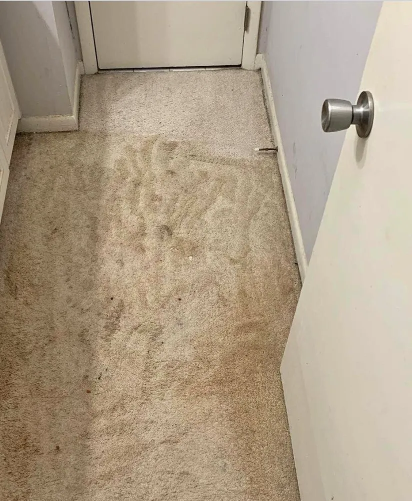 Slide of Trade Flow Network