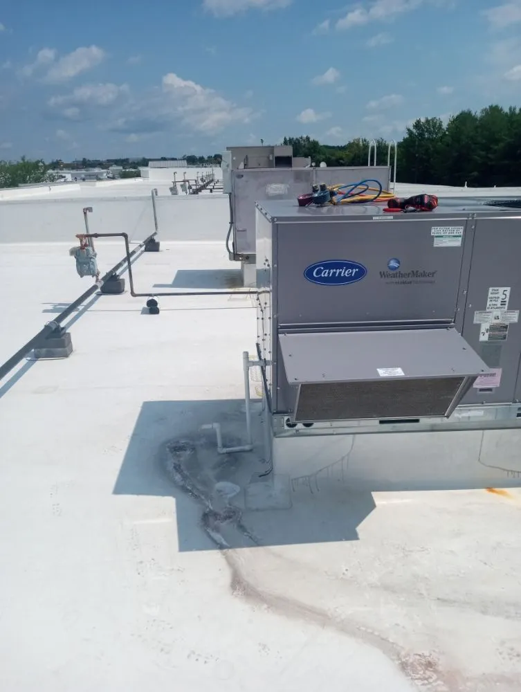 Slide of Trade Winds East