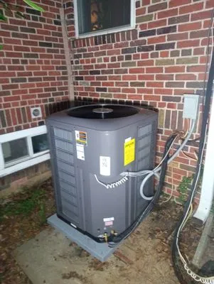 Trade Winds East Logo