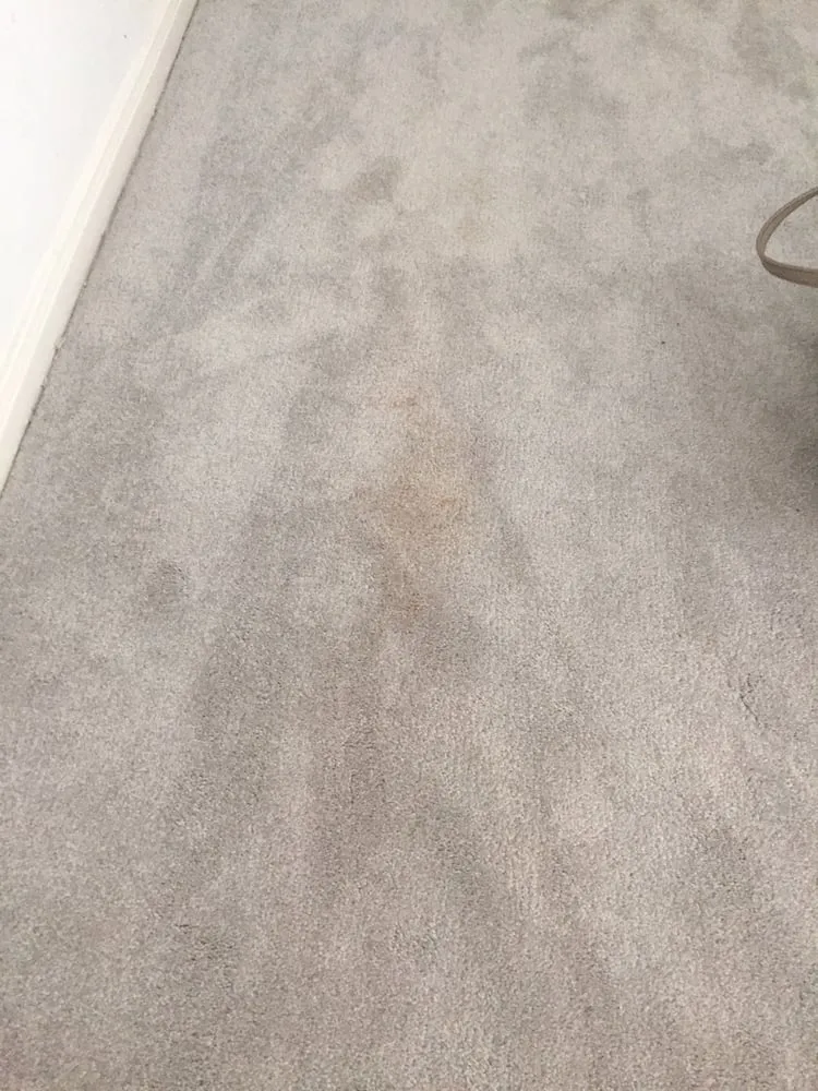 Slide of Trademark Home Services