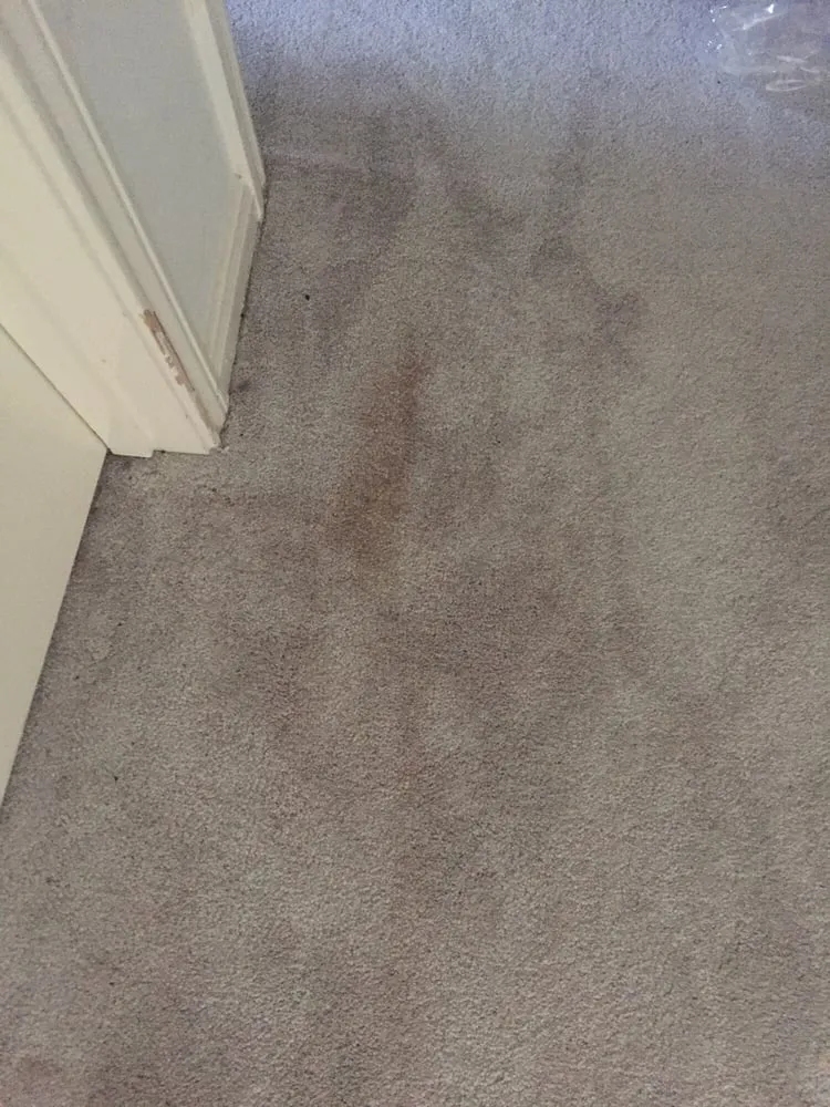 Slide of Trademark Home Services