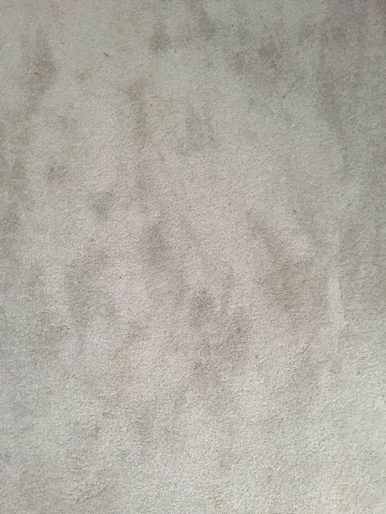 Slide of Trademark Home Services