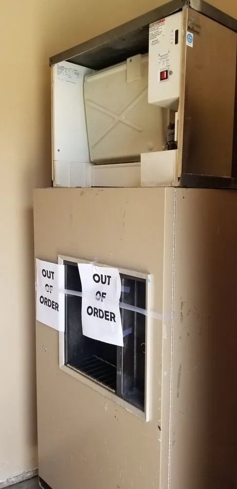 Slide of Translucent Mechanical