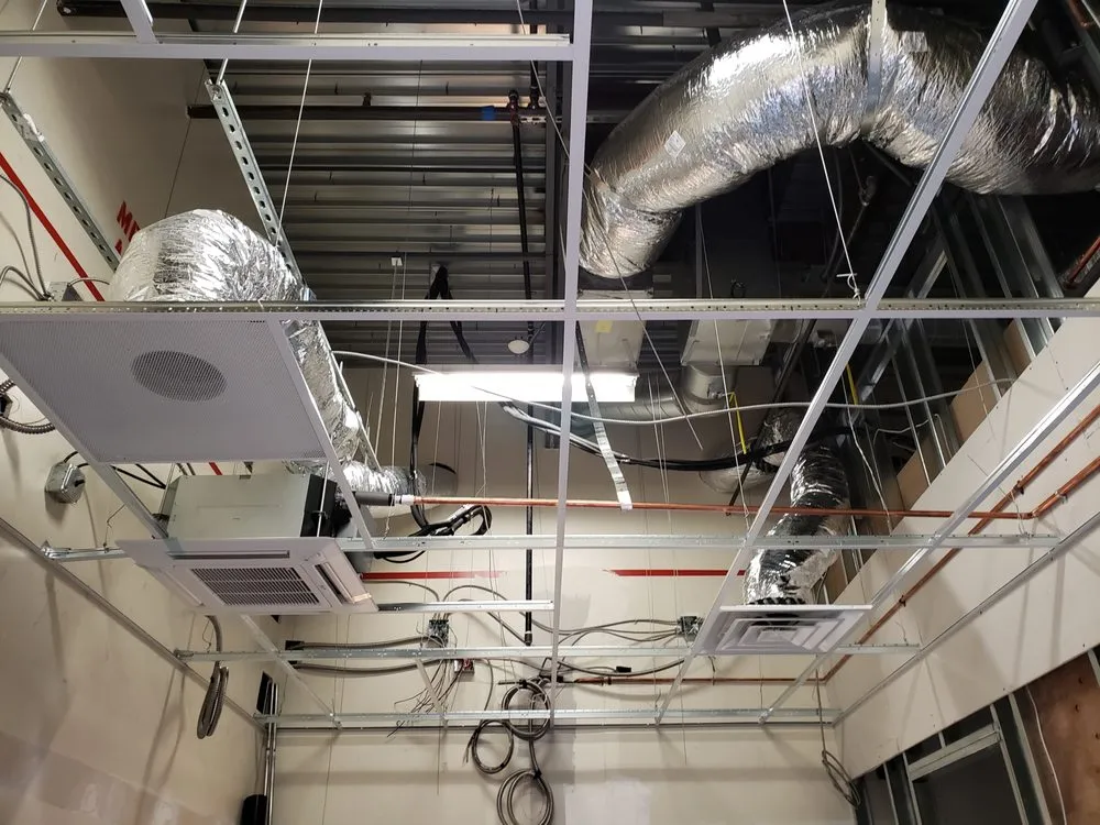 Slide of Translucent Mechanical