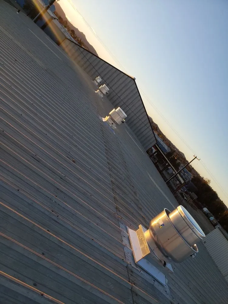 Slide of Translucent Mechanical