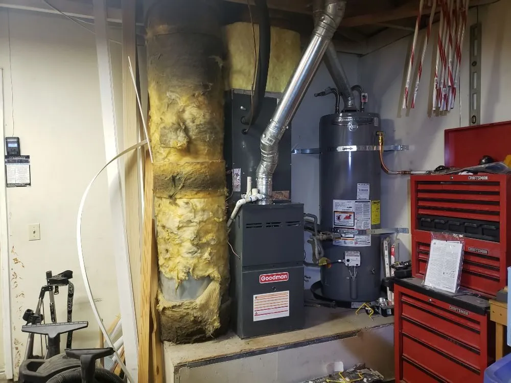 Slide of Translucent Mechanical