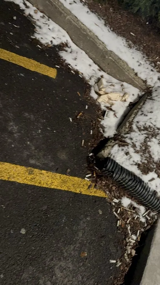 Slide of Trend Building Services