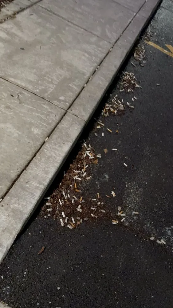 Slide of Trend Building Services