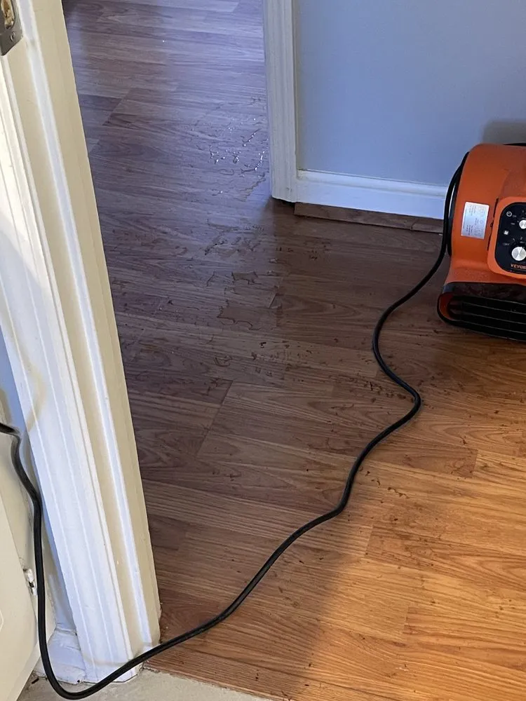 Slide of Triad Drain Cleaning