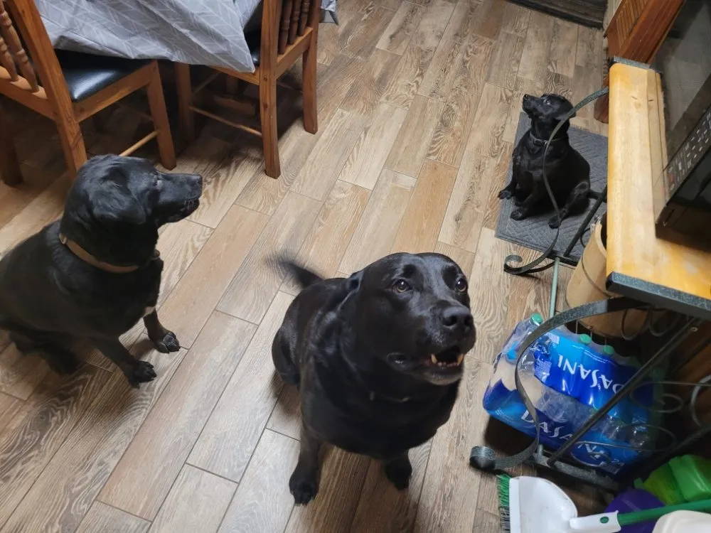 Slide of Trinity Home Comfort