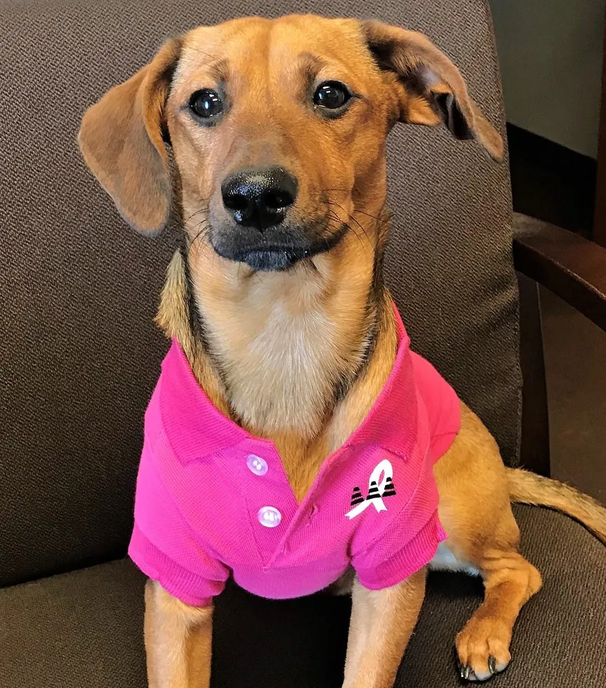 Slide of Triple A Heating, Plumbing & AC Repair