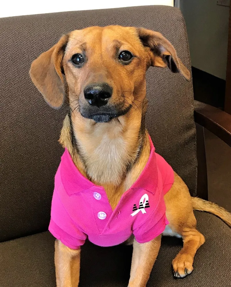 Slide of Triple A Heating, Plumbing & AC Repair