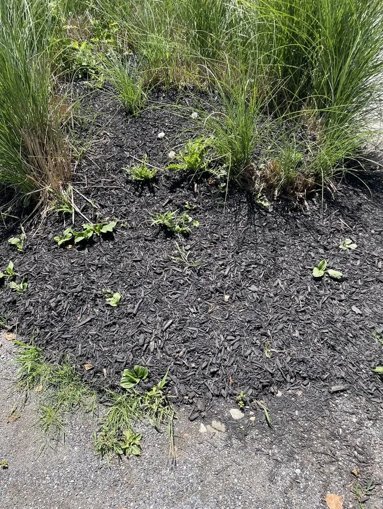 Slide of Triple J Property Maintenance