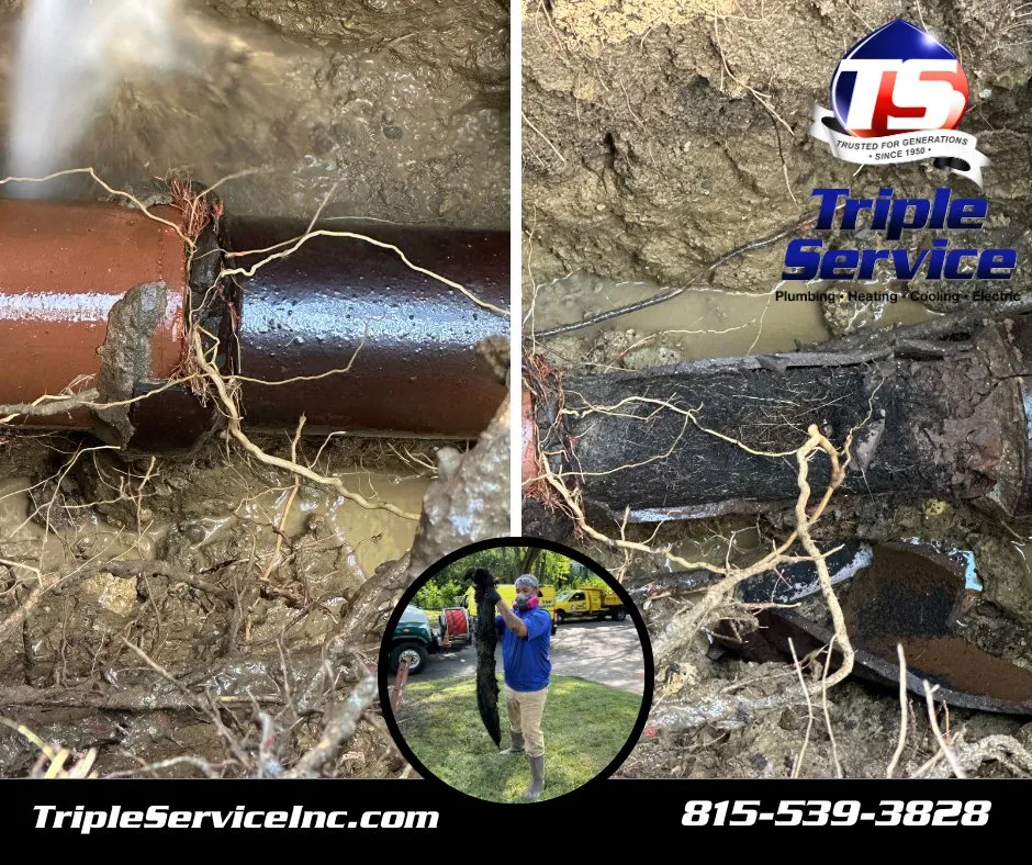 Slide of Triple Service