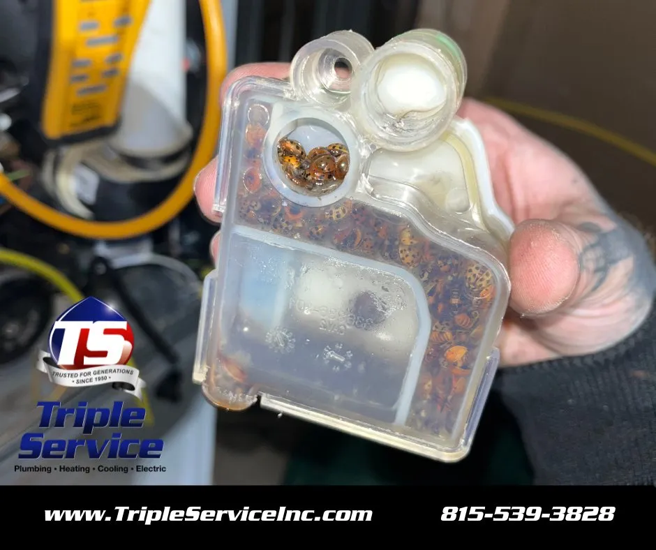 Slide of Triple Service