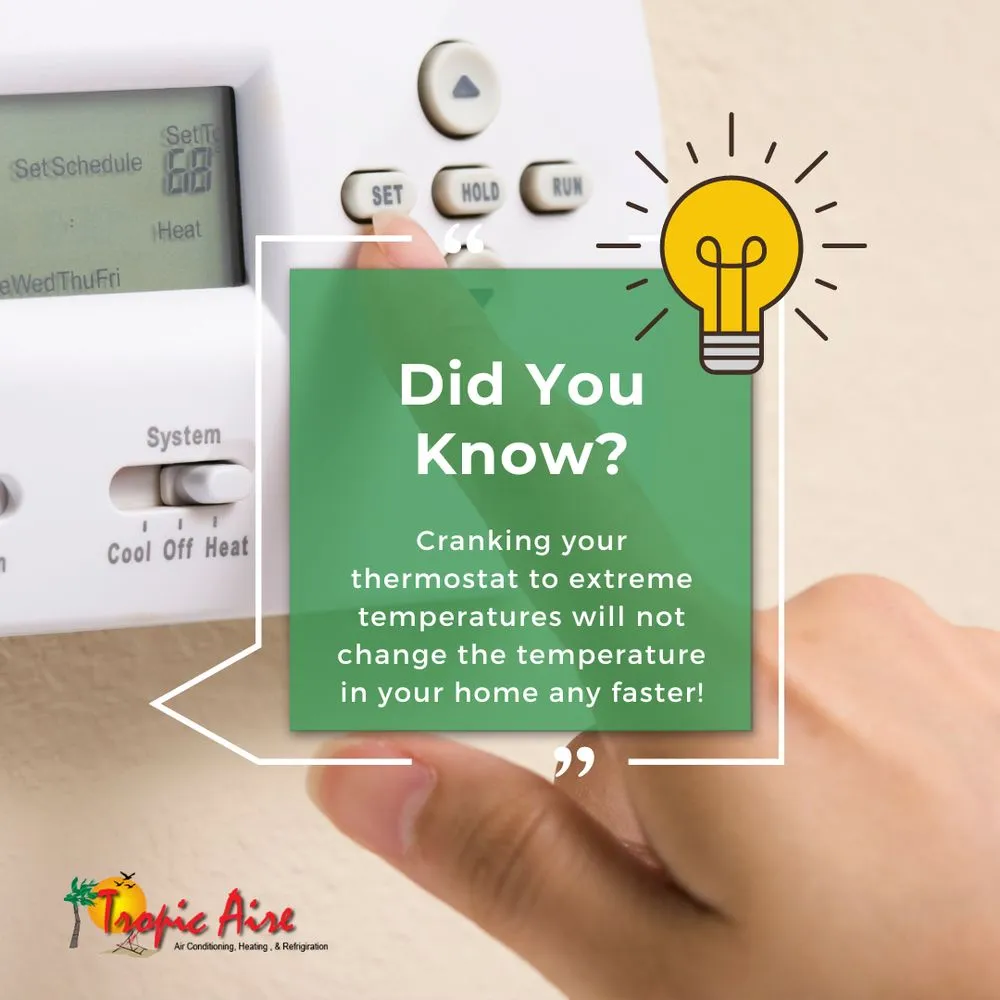 Slide of Tropic Aire