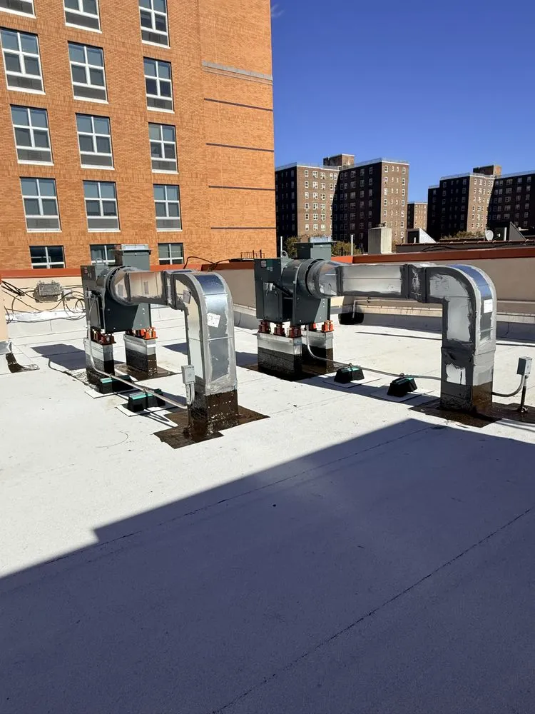 Slide of Tropical Aire