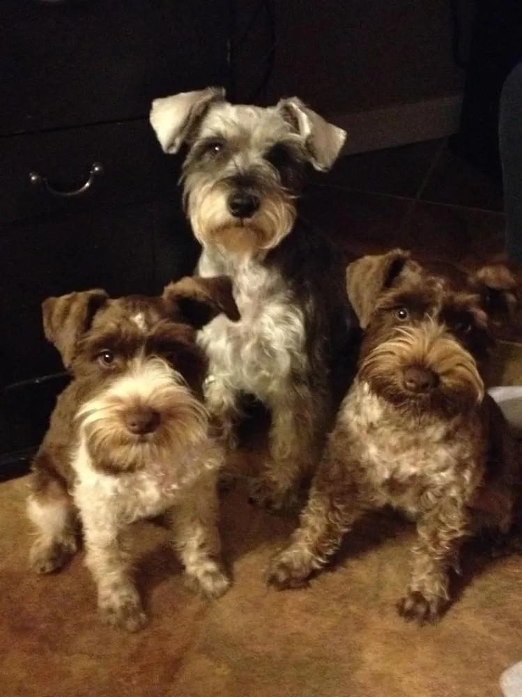 Slide of Troy Heating & Air