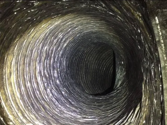 Slide of True Clean Air