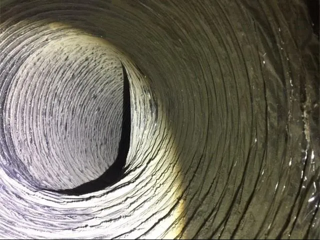 Slide of True Clean Air