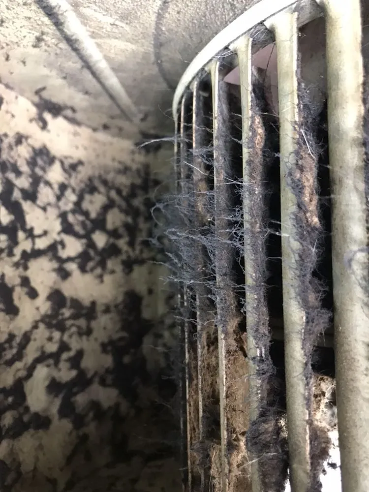 Slide of True Comfort Heating & Cooling