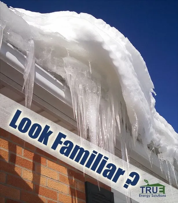 Slide of True Energy Solutions