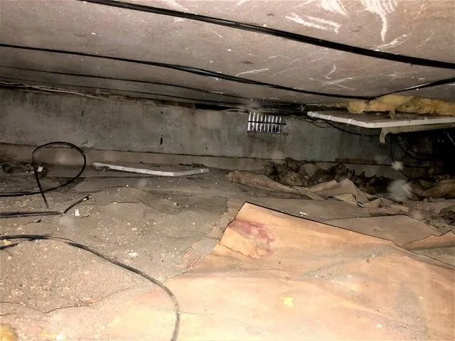 Slide of True Energy Solutions