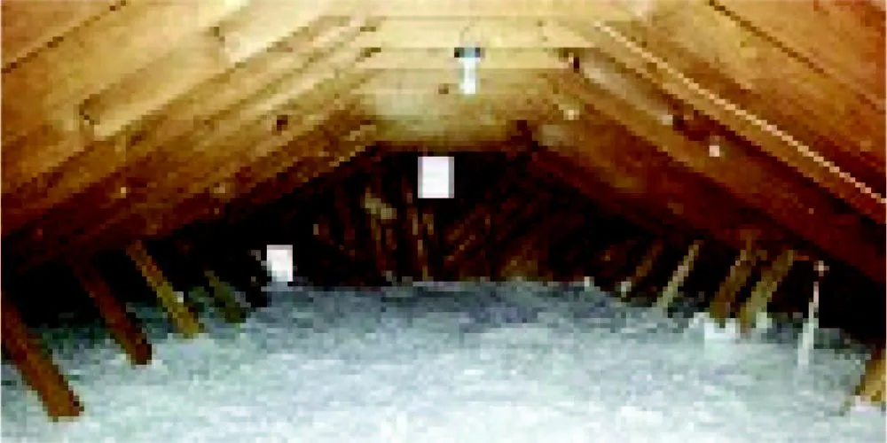 Slide of True Energy Solutions