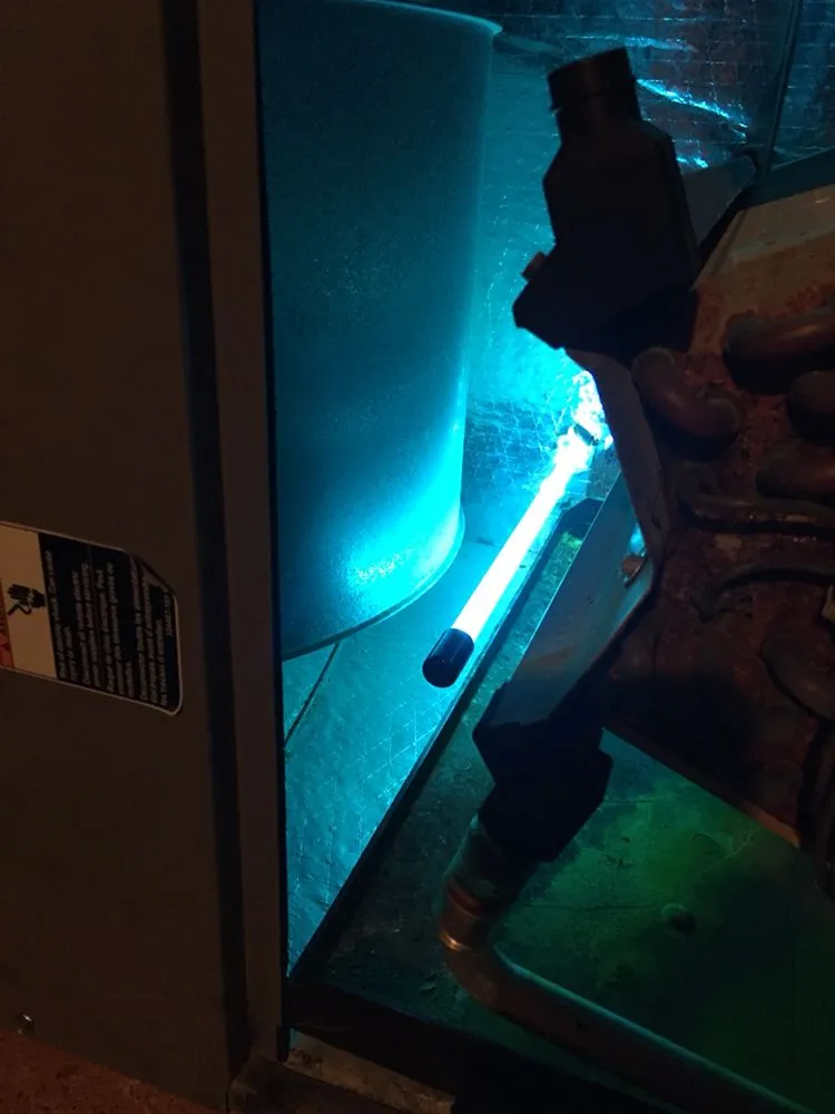 Slide of True Mechanical