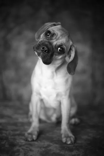 Slide of True Plumbers & AC